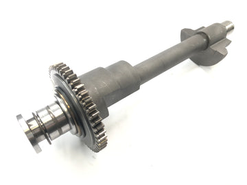 Triumph Speed ​​​​Triple T509 [1998] - Vyvažovací hřídel - 0