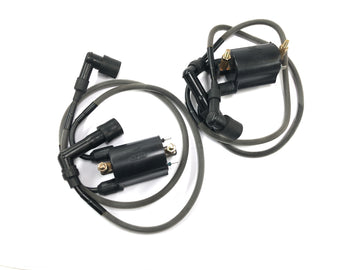 Kawasaki VN 1500 Mean Streak VN50T [2005] - Bobina de encendido Unidad de encendido Juego de bobinas de encendido con cables de encendido y conectores de bujía
