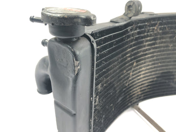 Honda CBR 900 RR Fireblade SC33 [2000] - Kühler Wasserkühler Kühlradiator - 0