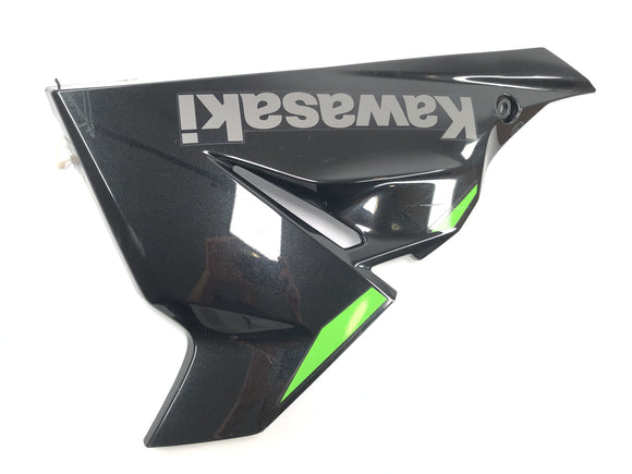 川崎忍者125 BX125B [2024]  - クリアページクラッディングバグクラッド右