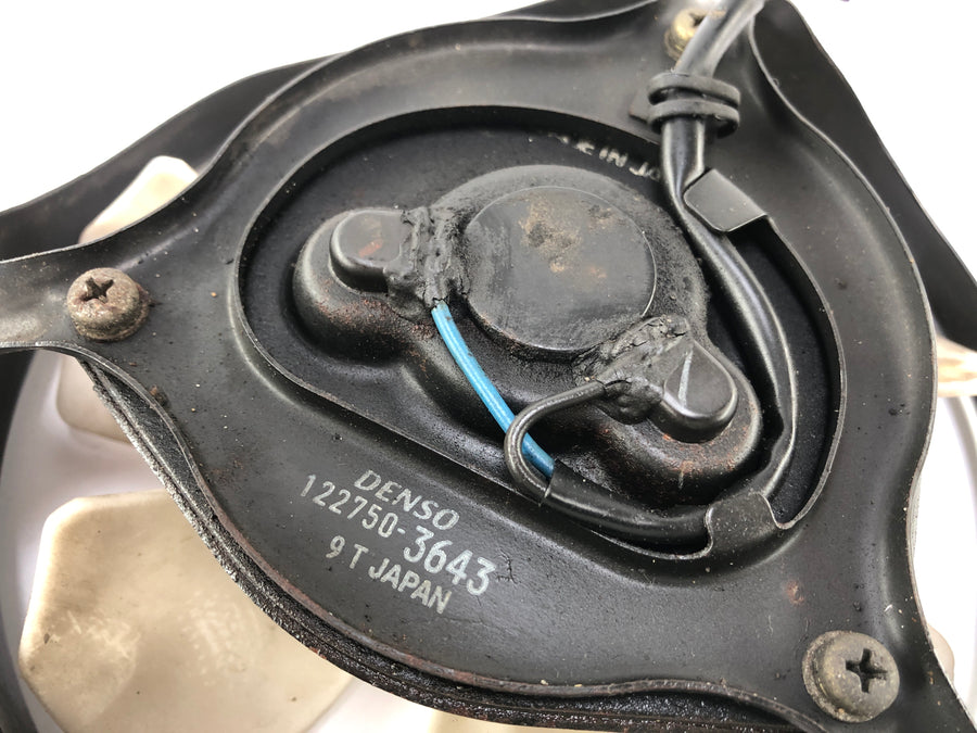 Triumph Daytona 955i T595 [1999] - køligere fan fan fan fan fan fan