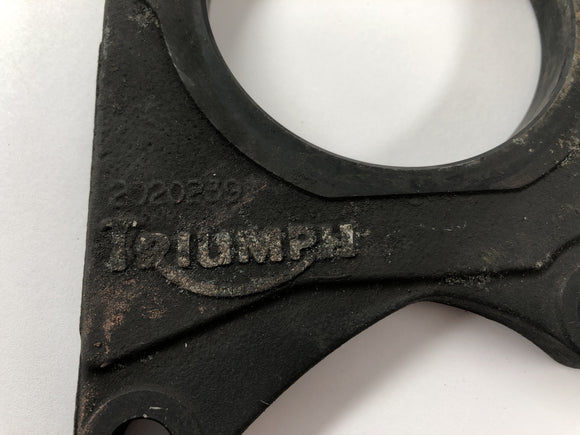 Triumph Speed ​​Triple 955i [1999] - Bremseanker bagpå