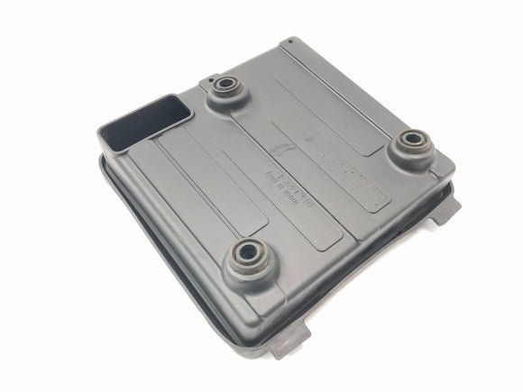 Aprilia RSV 1000 RP Mille [2001] - compartment for control unit storage compartment