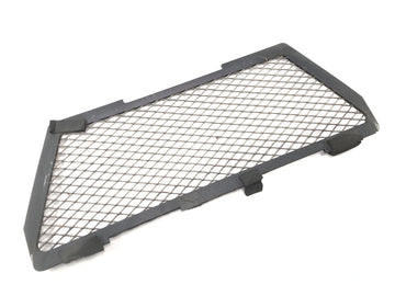 BMW R 1150 GS R21 [2002] - Ochranný panel mřížky chladiče vpředu - 0