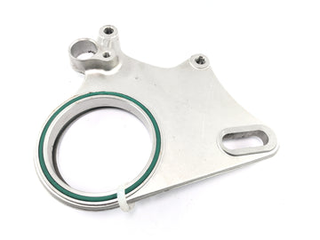 Ducati Monster S4R M4 [2004] - Ankerpaltte Bremssattelaufnahme hinten - 0