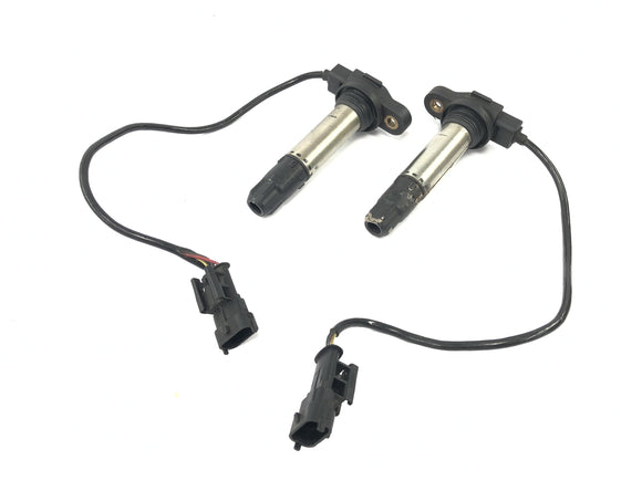 Ducati 999 H4 [2003] - ignition coil ignition modue ignition coil set couple