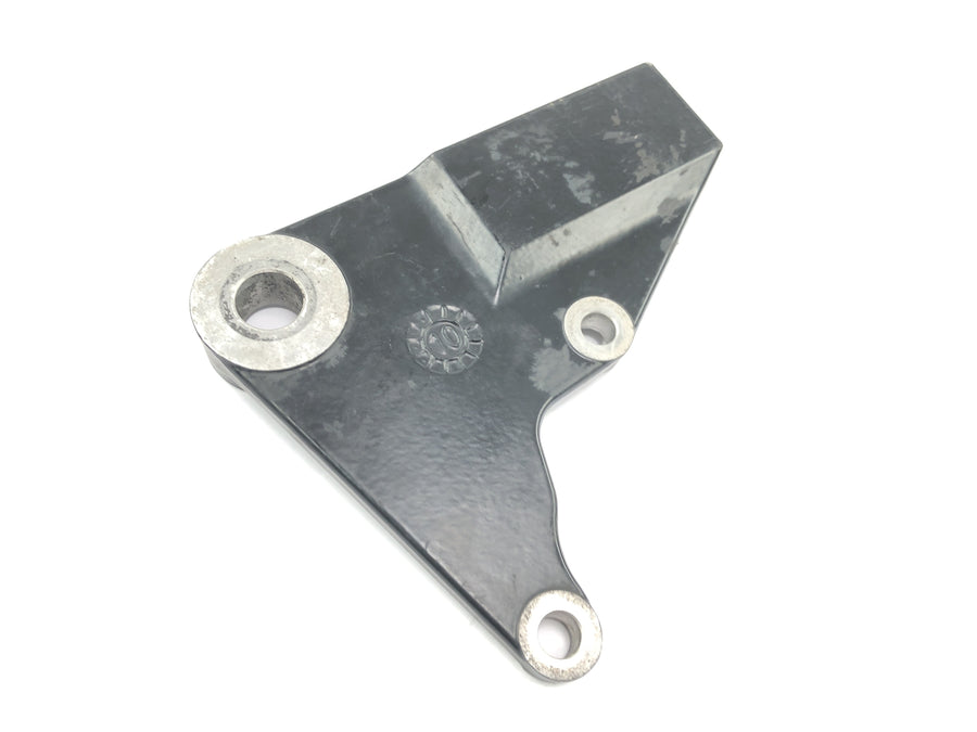 Triumph Bonneville T100 986MF [2012] - Rear brake anchor caliper mount