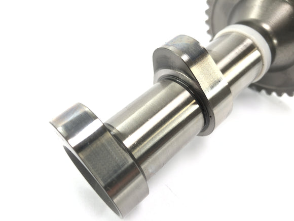 KTM 1050 Adventure [2017]  - 背面にあるカムシャフトアウトレットカムシャフトシリンダー