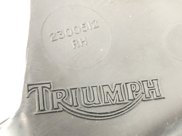 Triumph Daytona 900 T300 [1993] - Proteção do motor revestimento de cascas de motor esquerda e direita