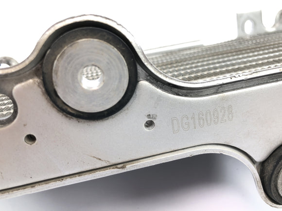 SWM SM 125 R [2018] - Coppia radiatori acqua radiatori