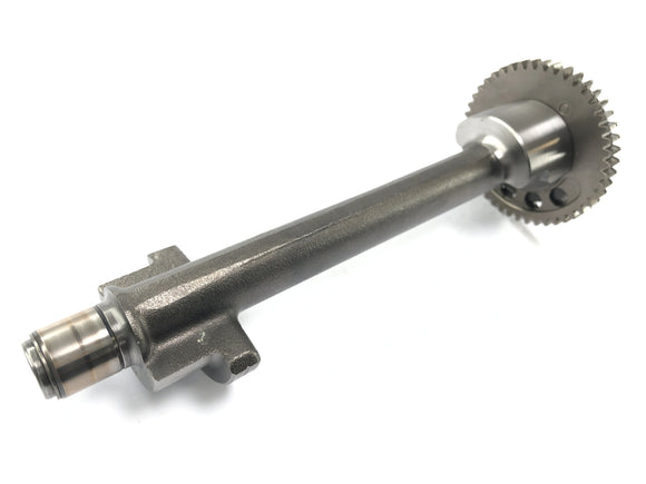 Triumph Sprint ST 1050 [2005] - Ausgleichswelle Balance Shaft