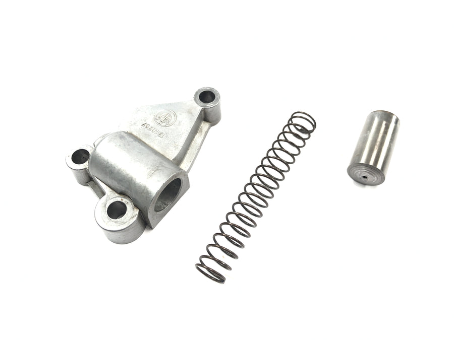 BMW R 1100 GS 259 [1995] - Steuerkettenspanner Spannvorrichtung Feder Kit