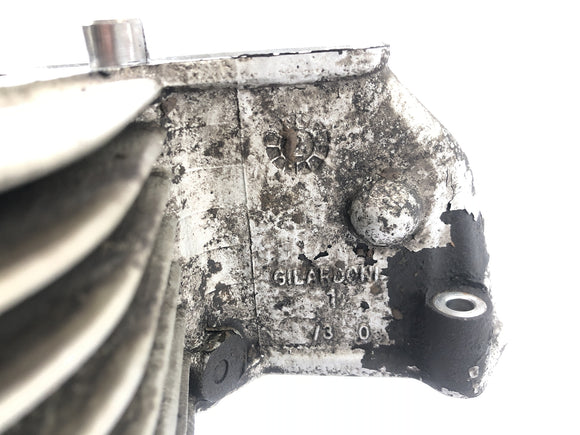 BMW R 1150 GS R21 [2002] - sylinteri männällä vasemmalla