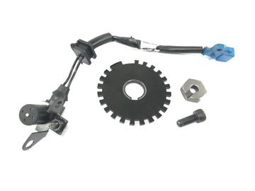 トライアンフ デイトナ 955I T595 [1998] - ピックアップ