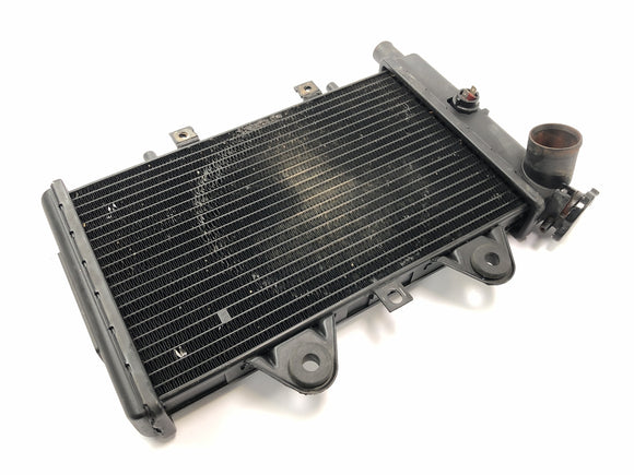 Triumph Daytona 900 T300 [1996] - Kühler Wasserkühler