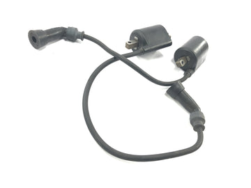 Suzuki Intruder VL 1500 AL [2000] - Zündspule Zündspulen Zündkabel Zündkerzenstecker