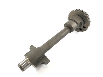 Triumph Speed ​​Triple 955i [1999] - vlna kompenzace - 0