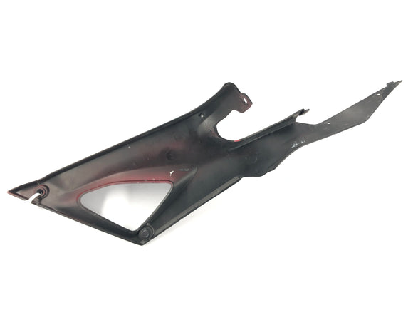 Ducati 1098 S H7 [2009]  - サイドカバーフレームクラッド変装