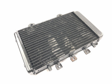 Triumph Adventurer 900 T309RT [1998] - Kühler Wasserkühler Radiator Kühlsystem