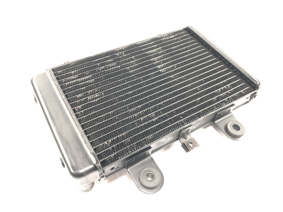 Triumph Adventurer 900 T309RT [1998] - Kühler Wasserkühler Radiator Kühlsystem