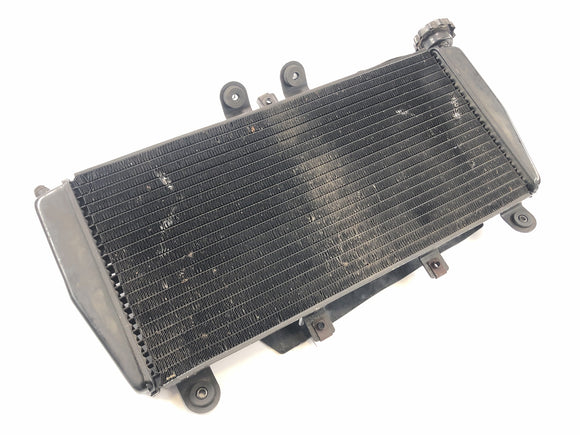 Triumph Daytona 955i T595N [2003] - Kühler Wasserkühler Radiator vorne