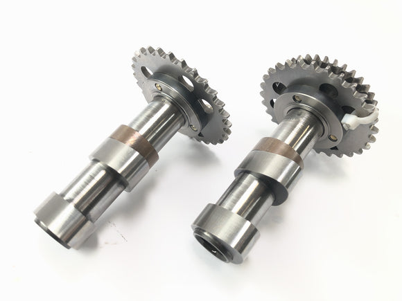 Aprilia Rst 1000 Futura [2002] - CAMSHAFTS ingesteld aan de achterkant van de ingang nokkenas en een rand golfgolf