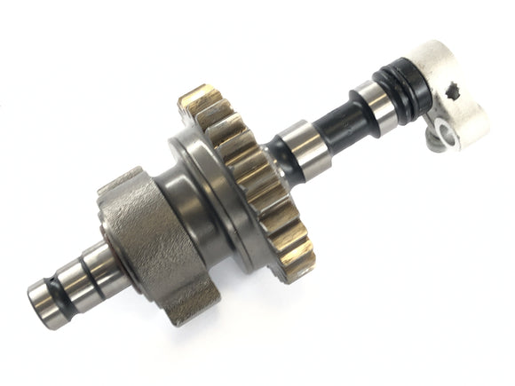 BMW K 1300 S K12S [2010] - 平衡轴