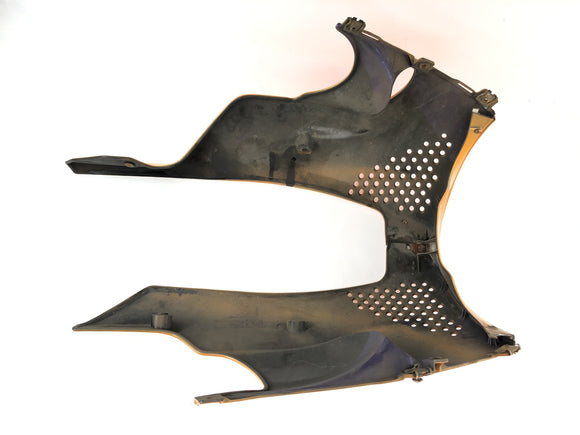 Honda CBR 900 RR SC28 [1994] - замаскированная подкара