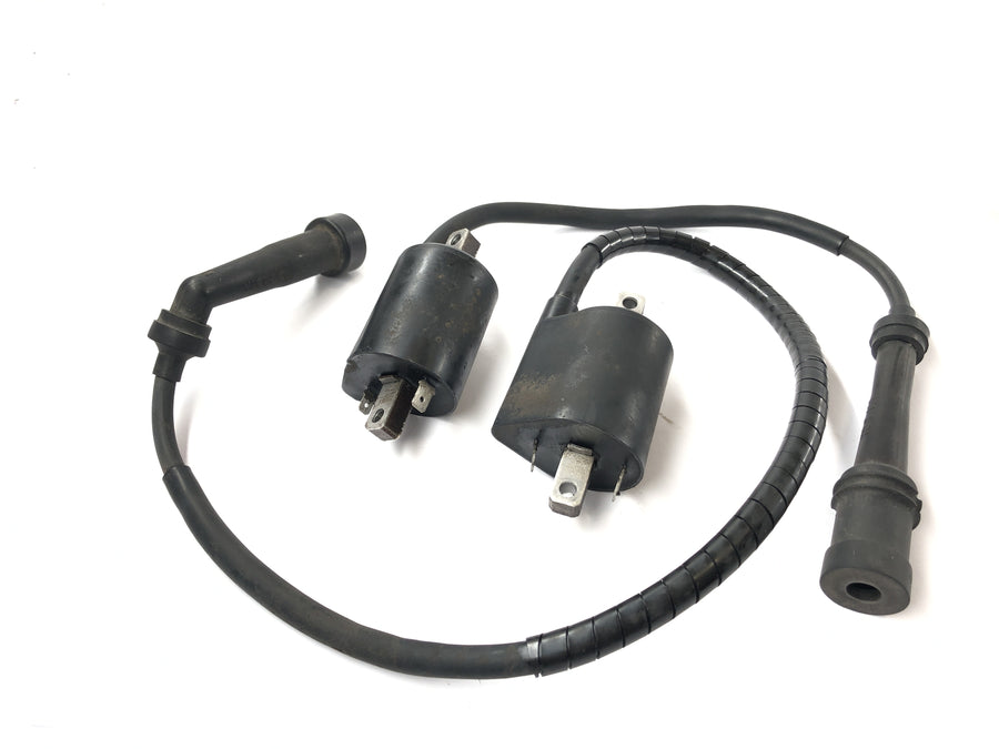Yamaha XVS 650 Drag Star VM02 [1998] - Zündspulen mit Stecker Set Paar