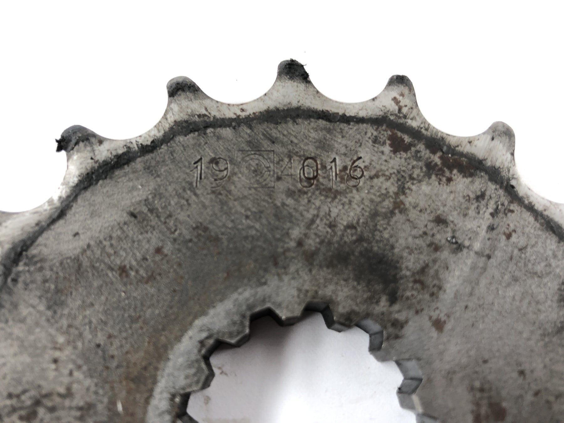 Triumph Speed ​​Triple 955i [1999] - Drive pinion 19 teeth