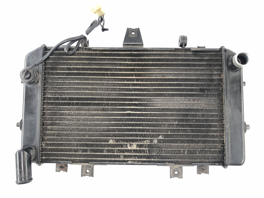 Kawasaki Zrx 1200 S Zrt20a [2002] - Cool Motor Cooler Radiator Cooler