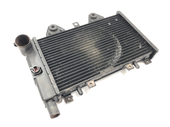 Triumph Daytona 900 T300 [1996] - Kühler Wasserkühler