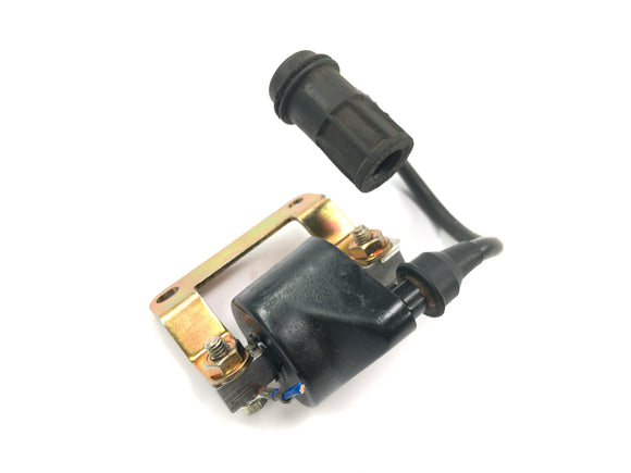 Cagiva Planet 125 [1998] - Ignition coil ignition ignition module with cable and plug