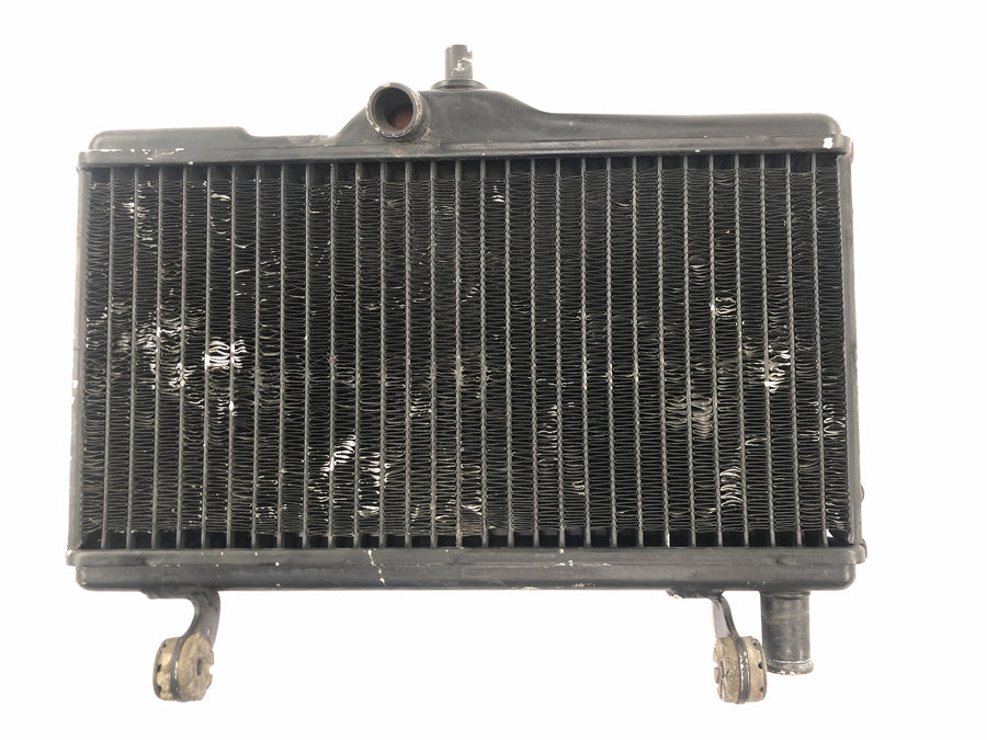 Honda NSR 125 JC20 [1991] - Kühler Wasserkühler Kühlernetz Kühlradiator