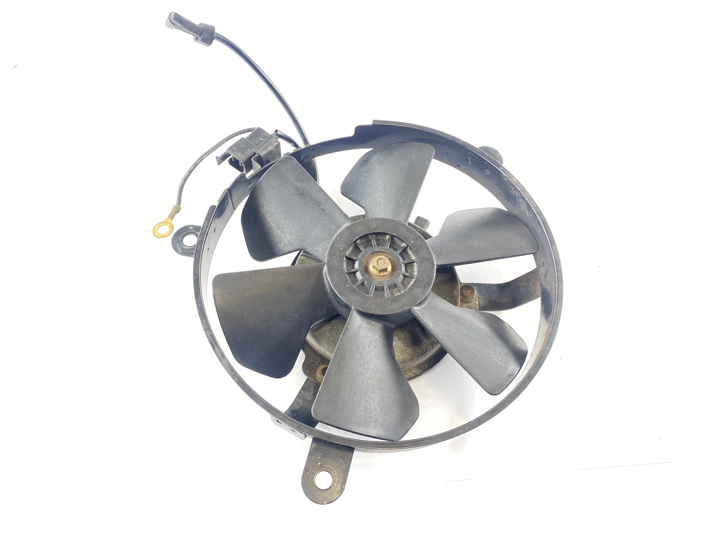 Honda CBR 900 RR SC33 [1996] - Fan Fan Fan Fan Cooler - 0