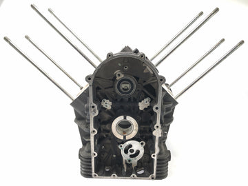 Moto Guzzi Stelvio 1200 4V [2009] - Motorgehäuse Leergehäuse - 0