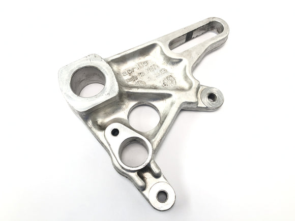 Aprilia RSV 1000 RP Mille [2001] - Bremseankerplate