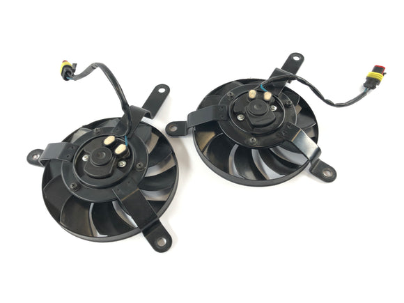 Ducati 1098 S H7 [2009] - Пара фанатов получателя