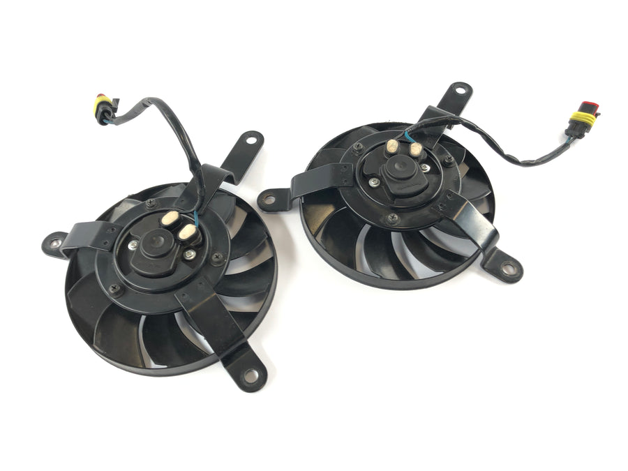 Ducati 1098 S H7 [2009]  - 接收者粉丝夫妇