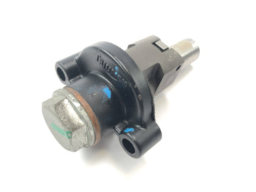 Triumph Daytona 955i T595N [2003] - Натяжек цепочки управления