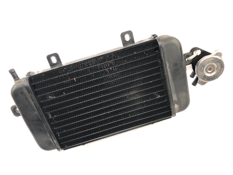 BMW C1 125 [2002] - Kühler Wasserkühler Kühlradiator Kühlsystem mit Einfüllstutzen