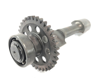 Benelli TNT 1130 [2009] - Drivaxel