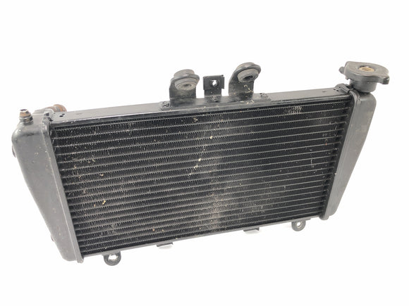 Triumph Speed Triple 1050 515NJ [2007] - Radiator Motorcykel Radiator varmeveksler