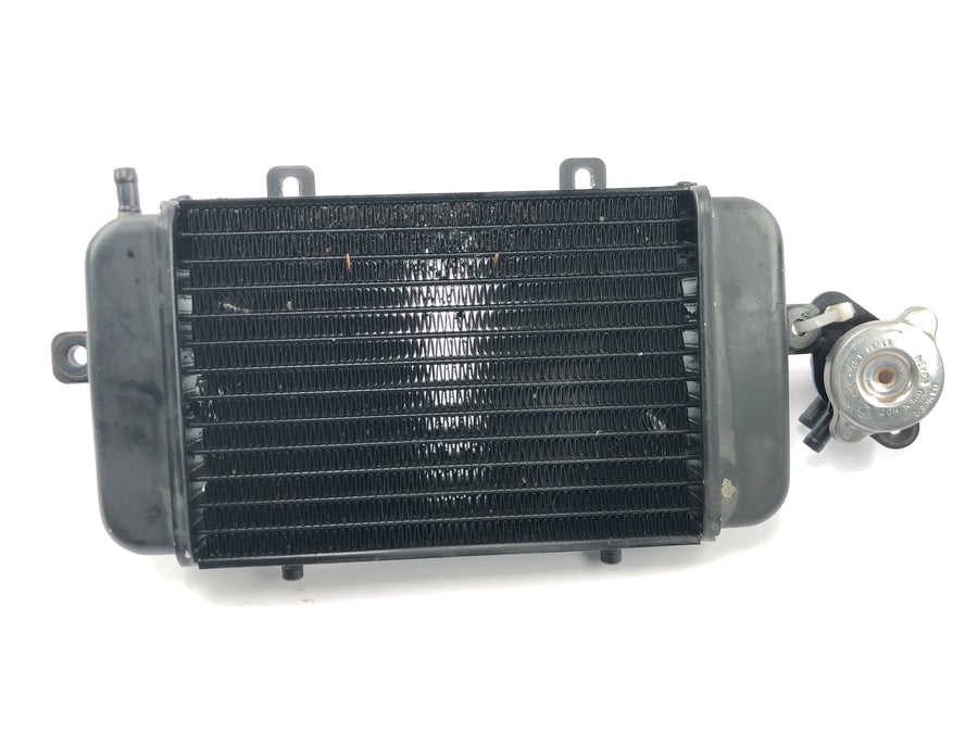 BMW C1 125 [2002] - Kühler Wasserkühler Kühlradiator Kühlsystem mit Einfüllstutzen