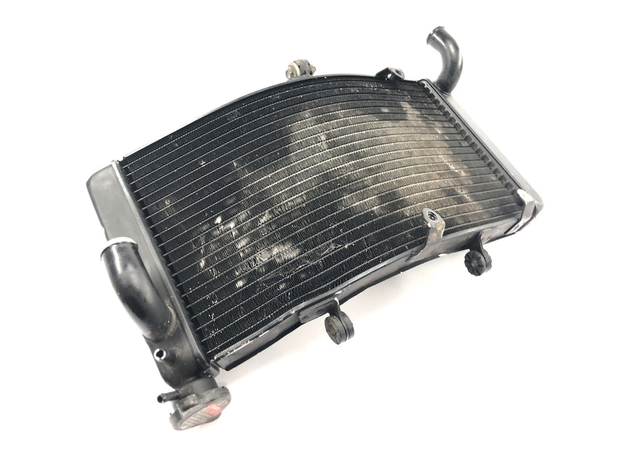 Honda CBR 900 RR Fireblade SC33 [2000] - Radiator water cooler cooling radiator
