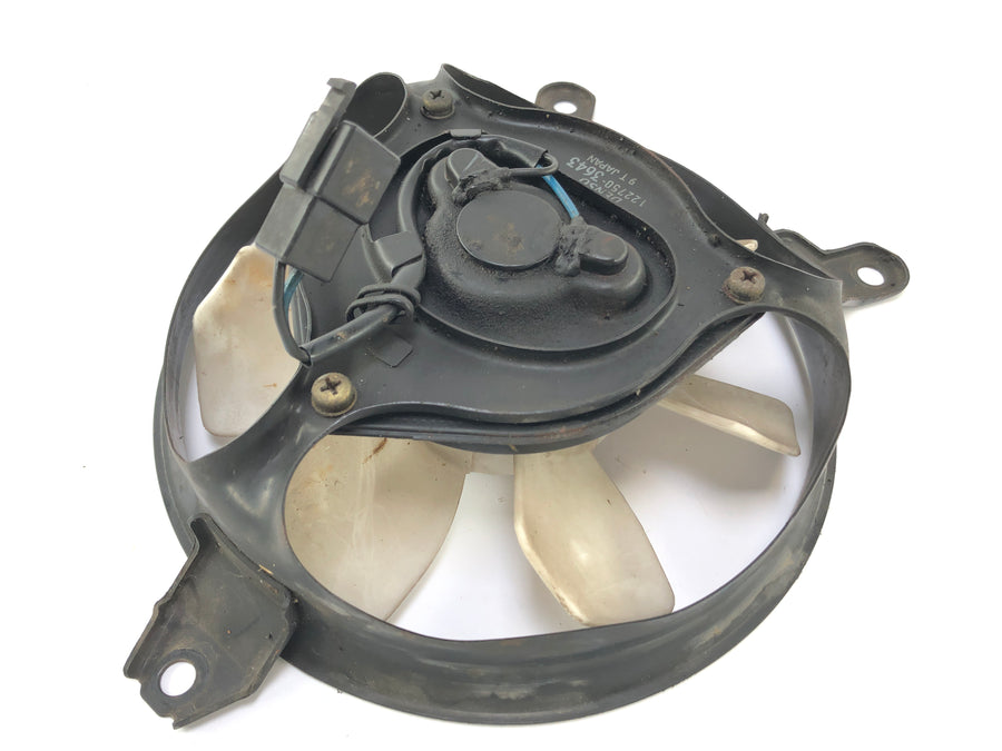 Triumph Daytona 955i T595 [1999] - køligere fan fan fan fan fan fan