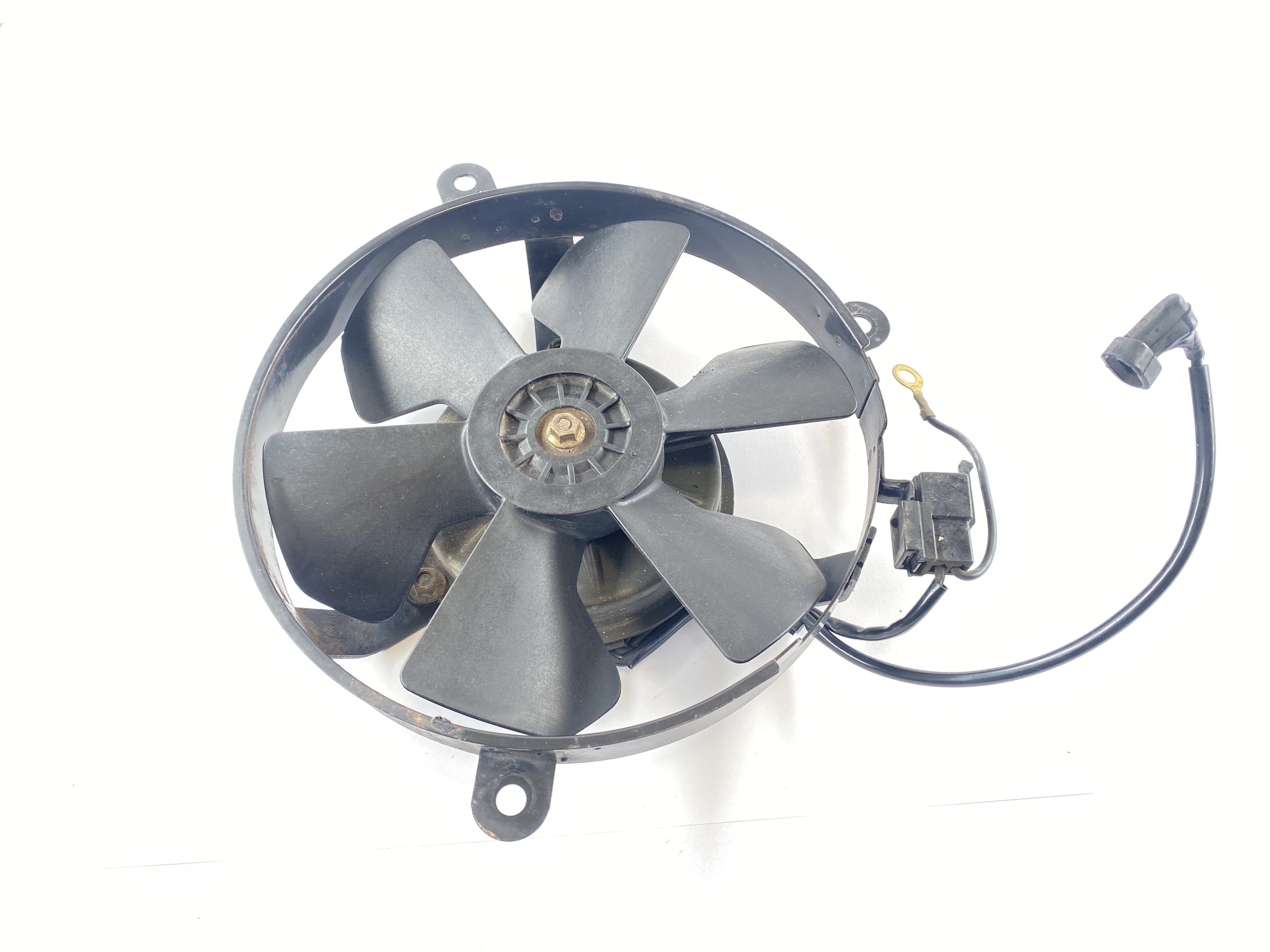 Honda CBR 900 RR SC33 [1996] - Fan Fan Fan Fan Cooler