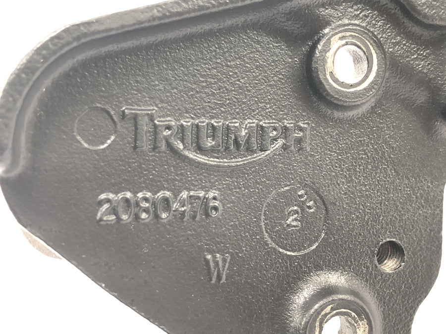 Triumph Tiger 955i 709EN [2003] — Подножка водителя справа с держателем системы подножек