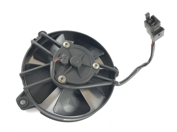Yamaha XT 660 DM01 [2004] - Fan Fan Fan Fan Fan Fan Fan