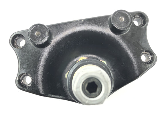 BMW R 1150 R R21 [2003] - fork bridge below Telelever